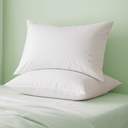 Almohada Beautyrest SPA Aloe Set X2